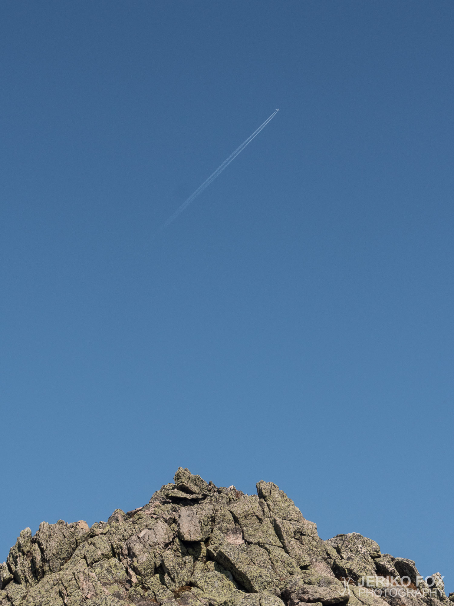 JFRM-2017-09-1236