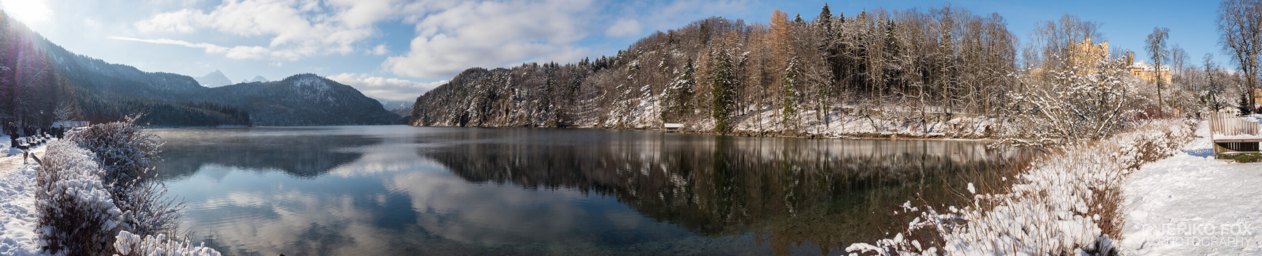JFRM-2017-12-0886-Pano