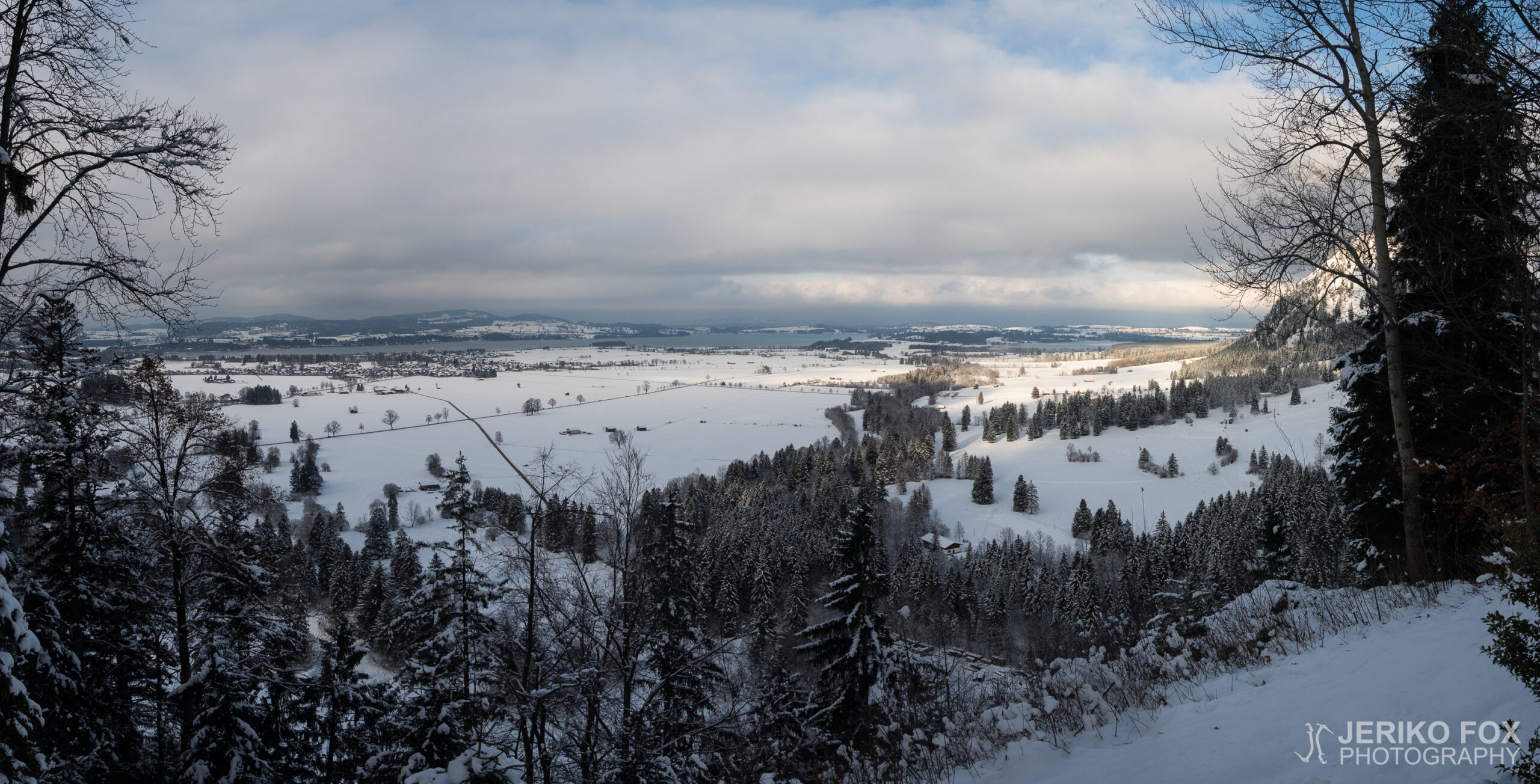 JFRM-2017-12-0902-Pano