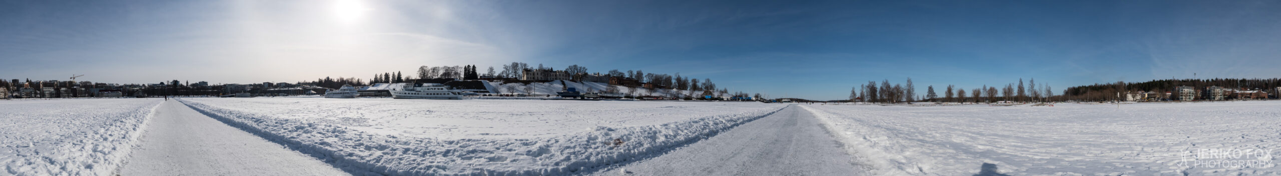 JFRM-2018-04-1231-Pano