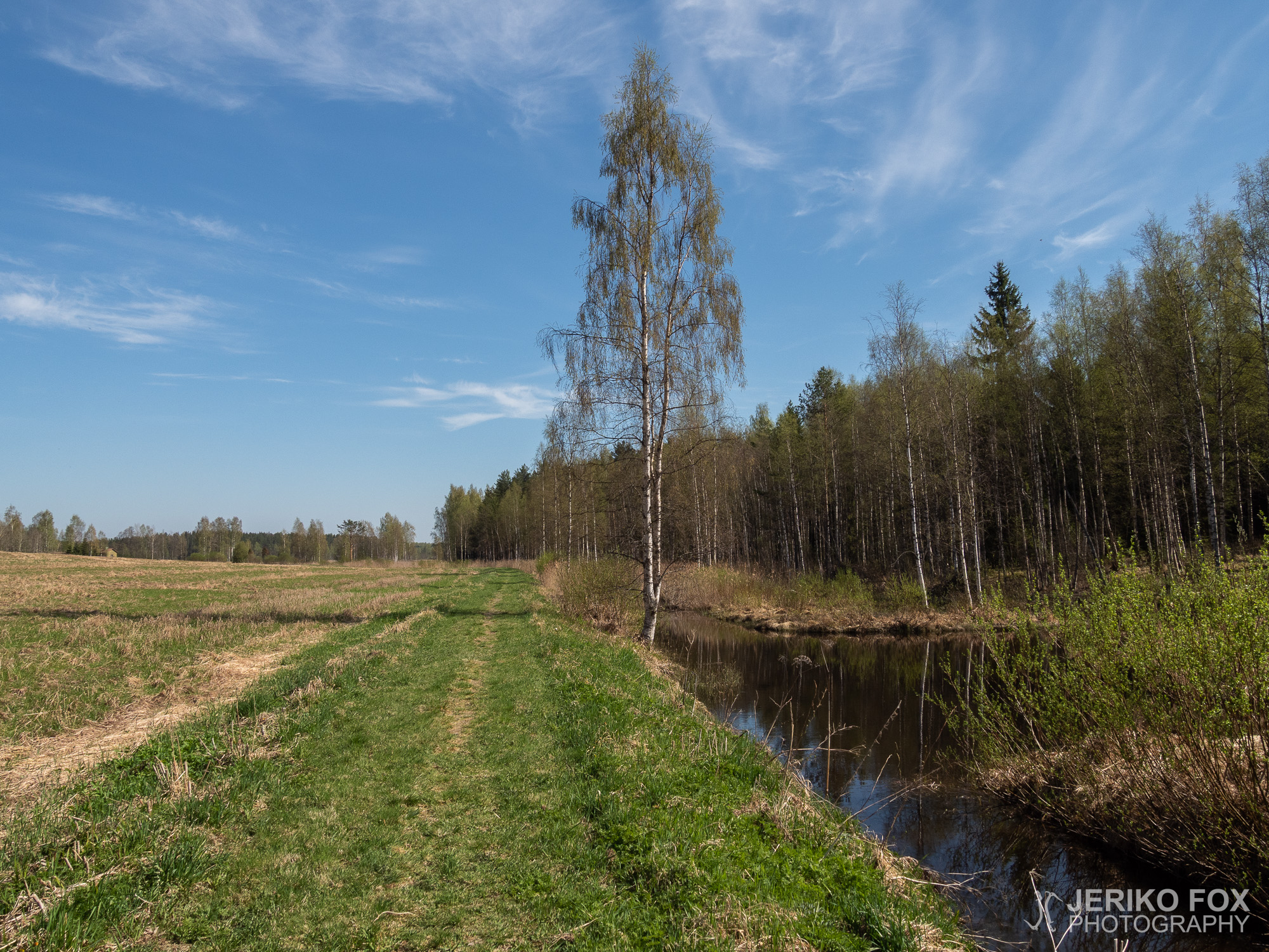 JFRM-2018-05-1359