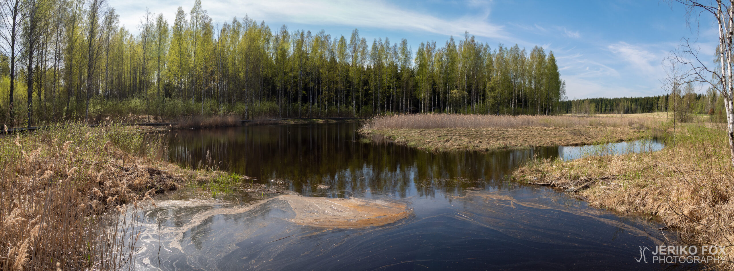 JFRM-2018-05-1367-Pano