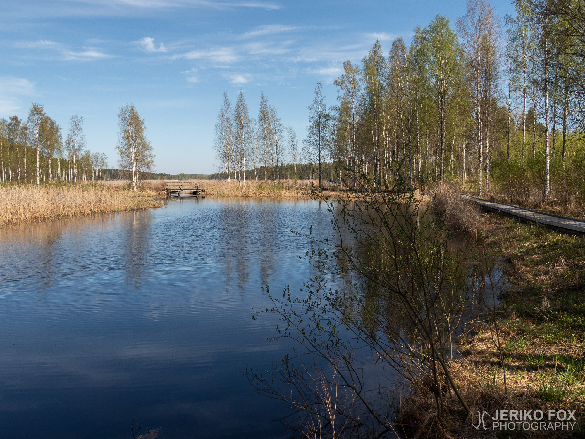 JFRM-2018-05-1371