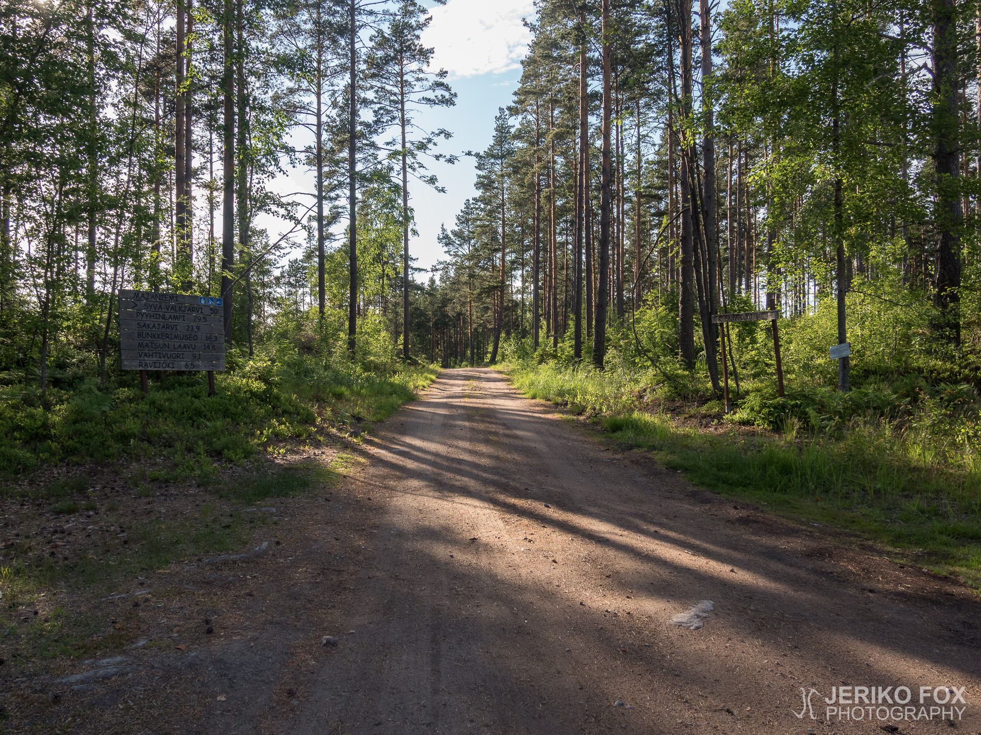JFRM-2018-06-1393