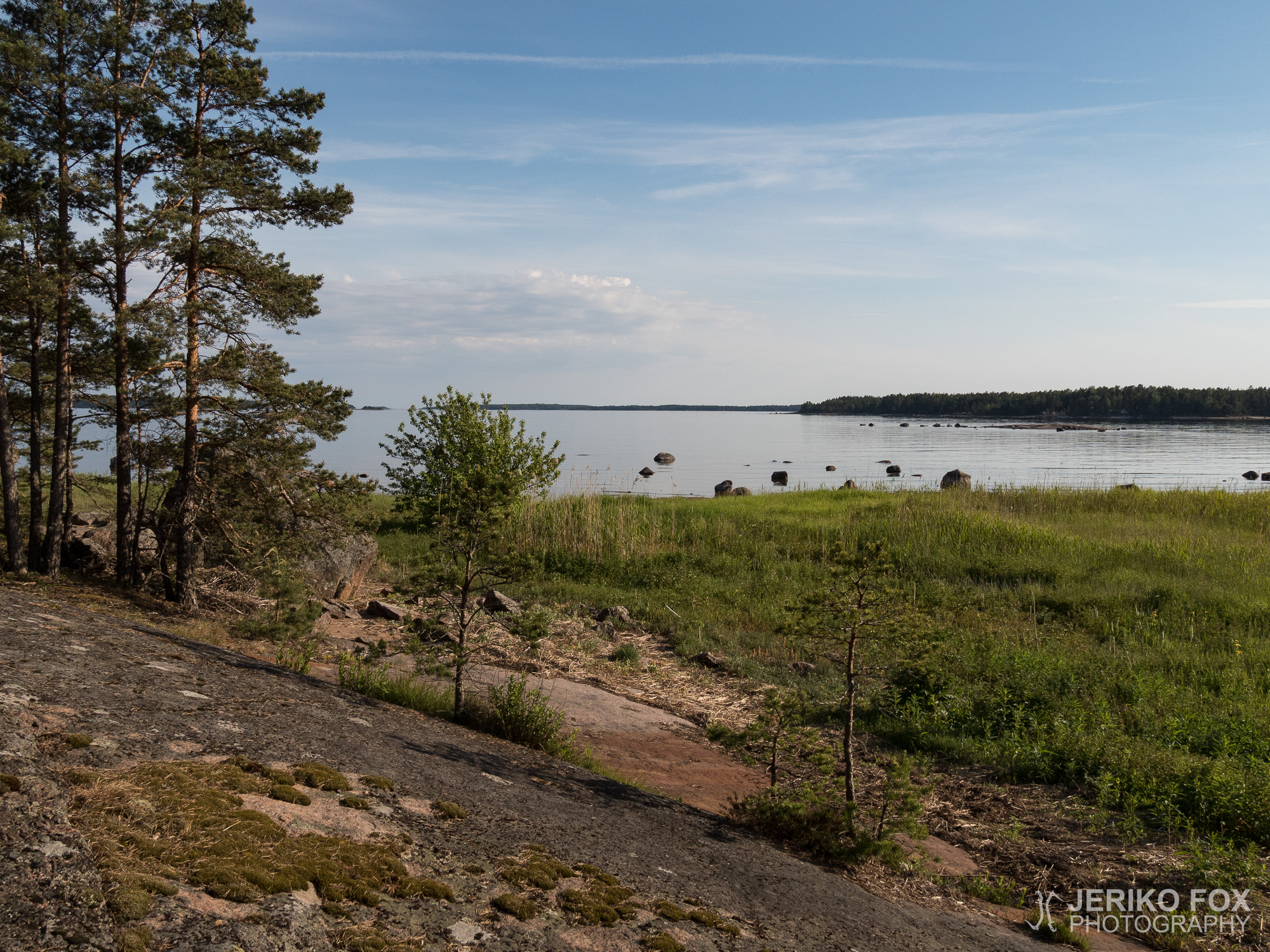 JFRM-2018-06-1397