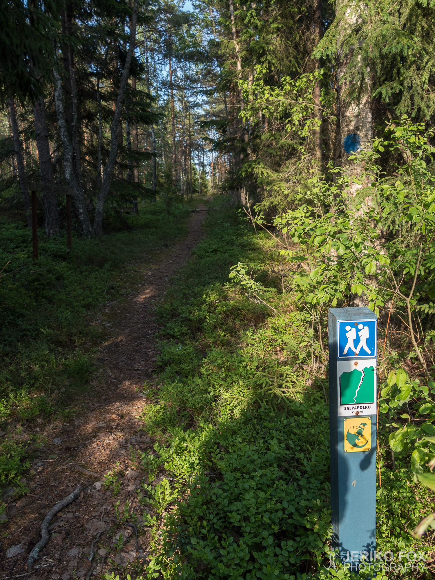 JFRM-2018-06-1404