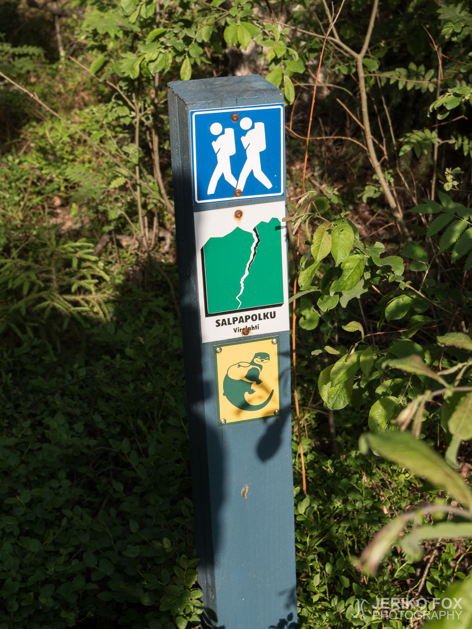 JFRM-2018-06-1405