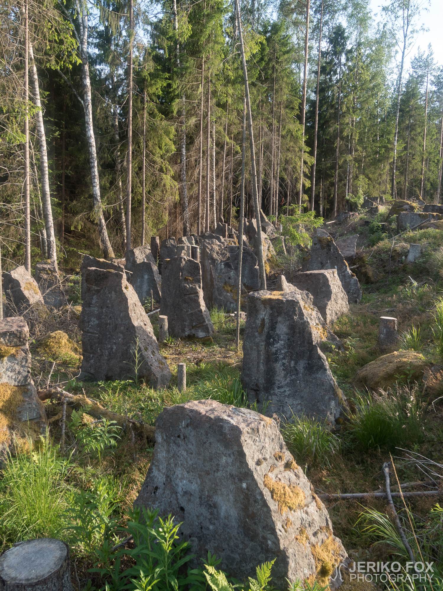 JFRM-2018-06-1417