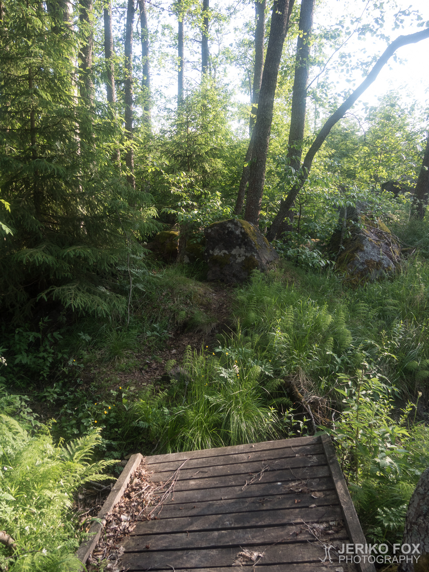 JFRM-2018-06-1418