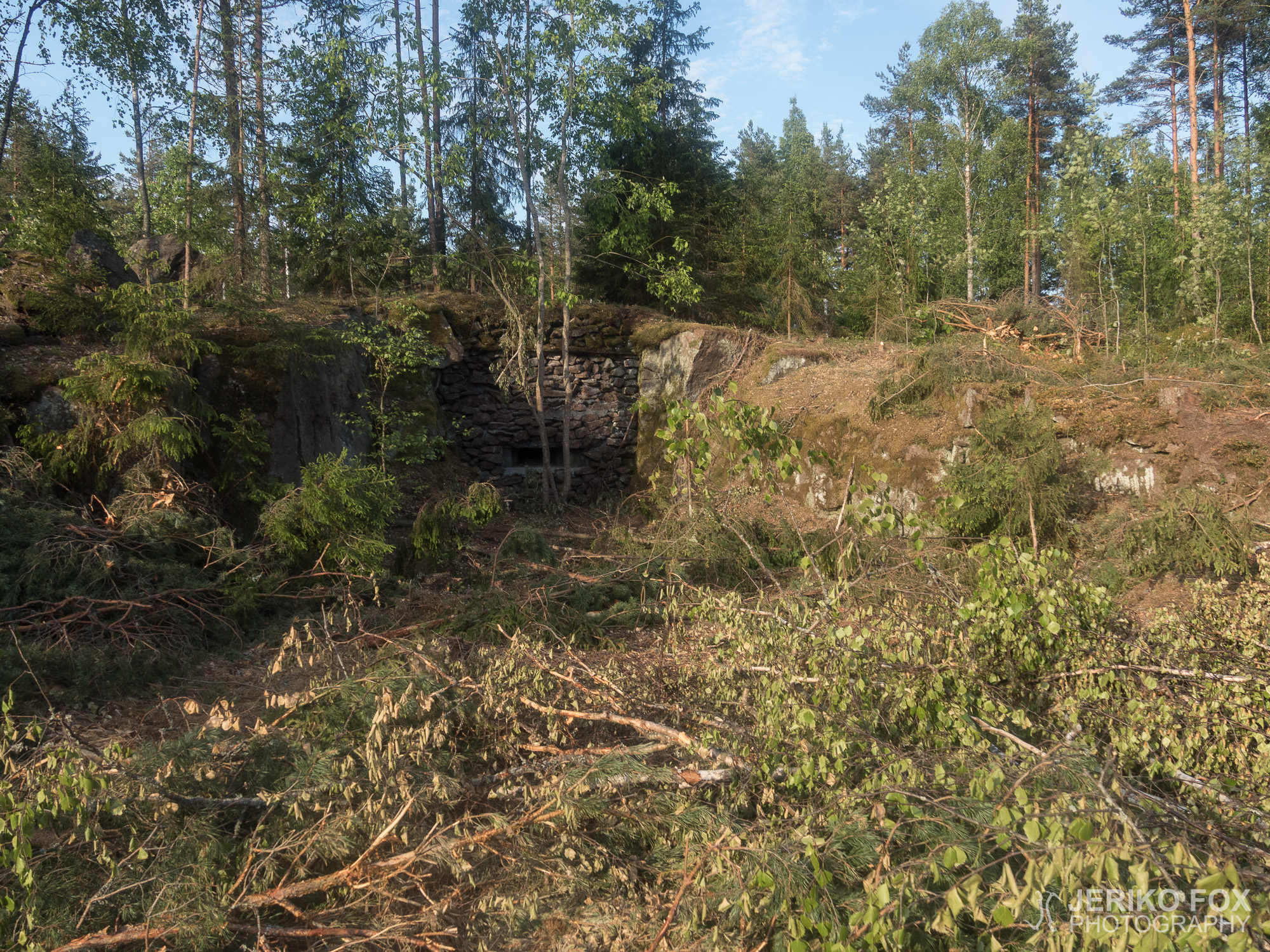 JFRM-2018-06-1421
