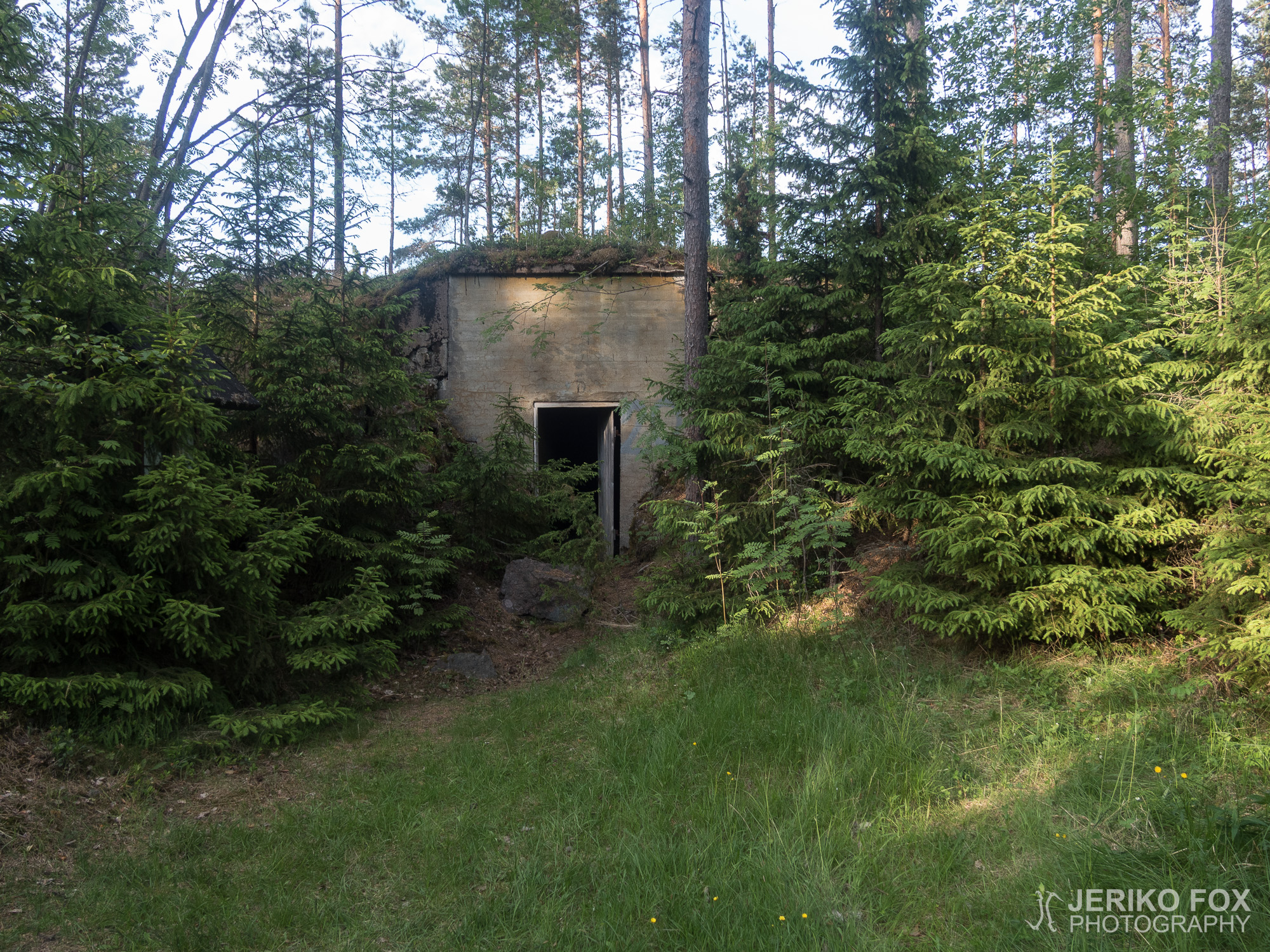 JFRM-2018-06-1423