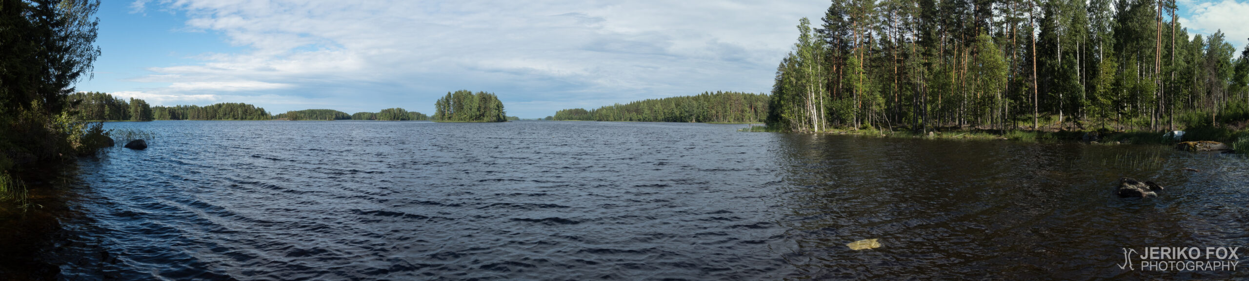 JFRM-2018-07-1451-Pano
