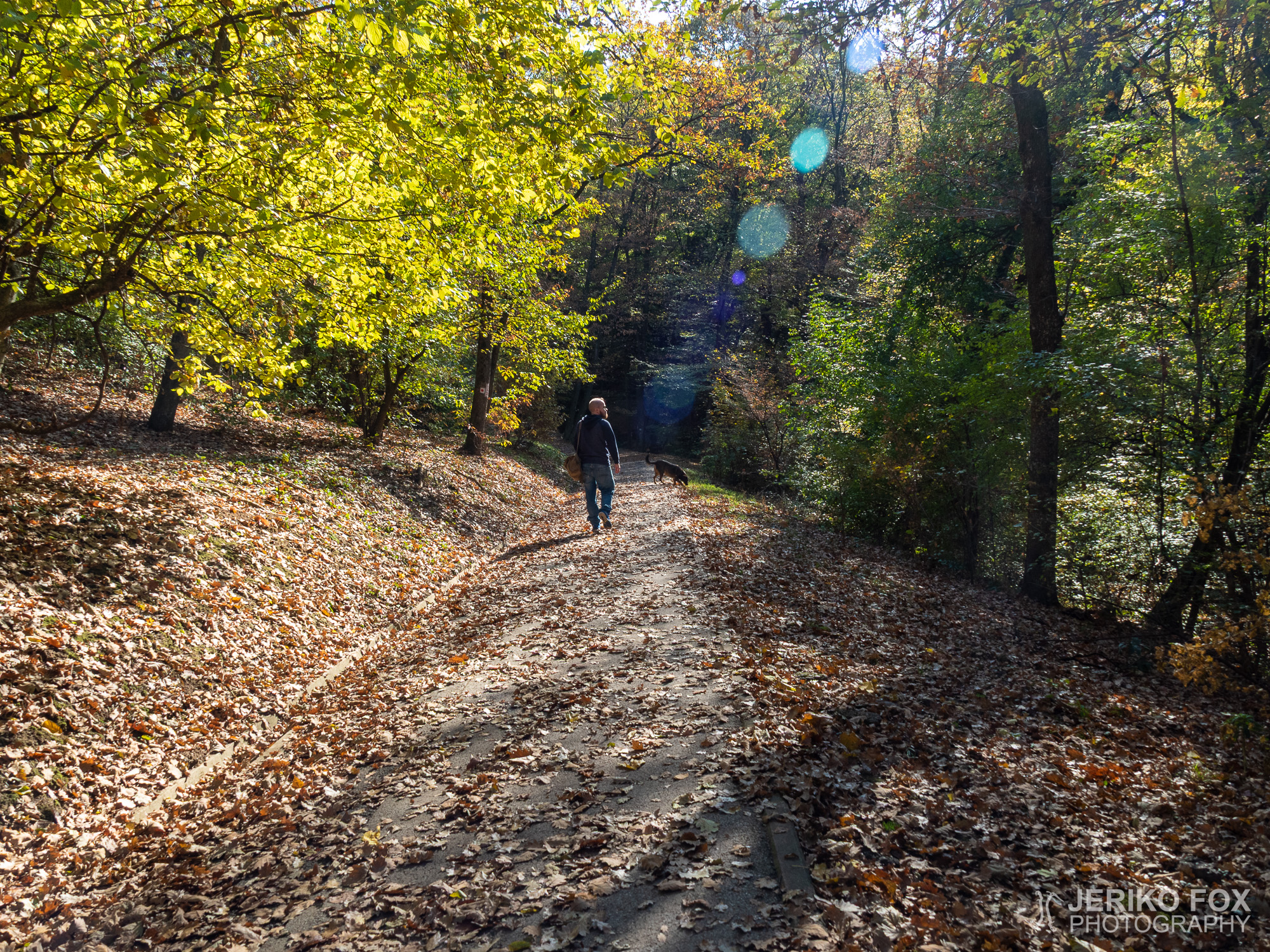 JFRM-2018-10-0649