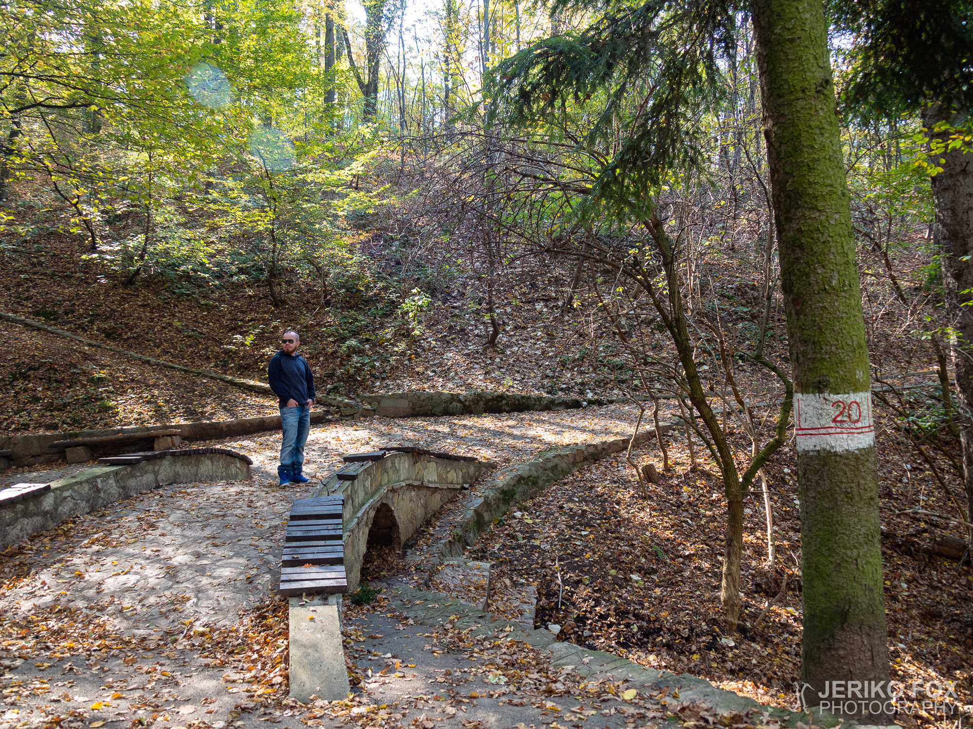 JFRM-2018-10-0655