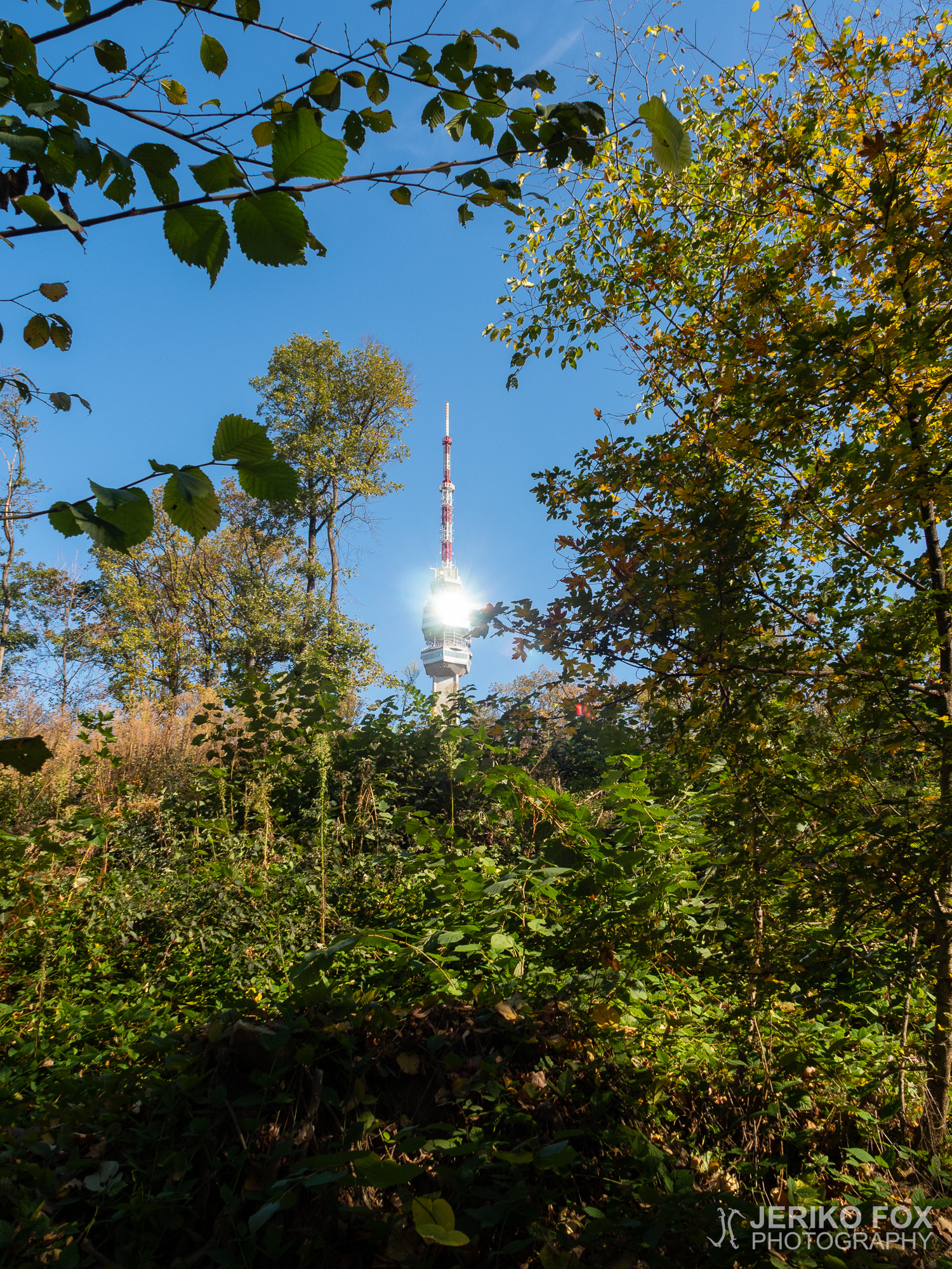JFRM-2018-10-0671