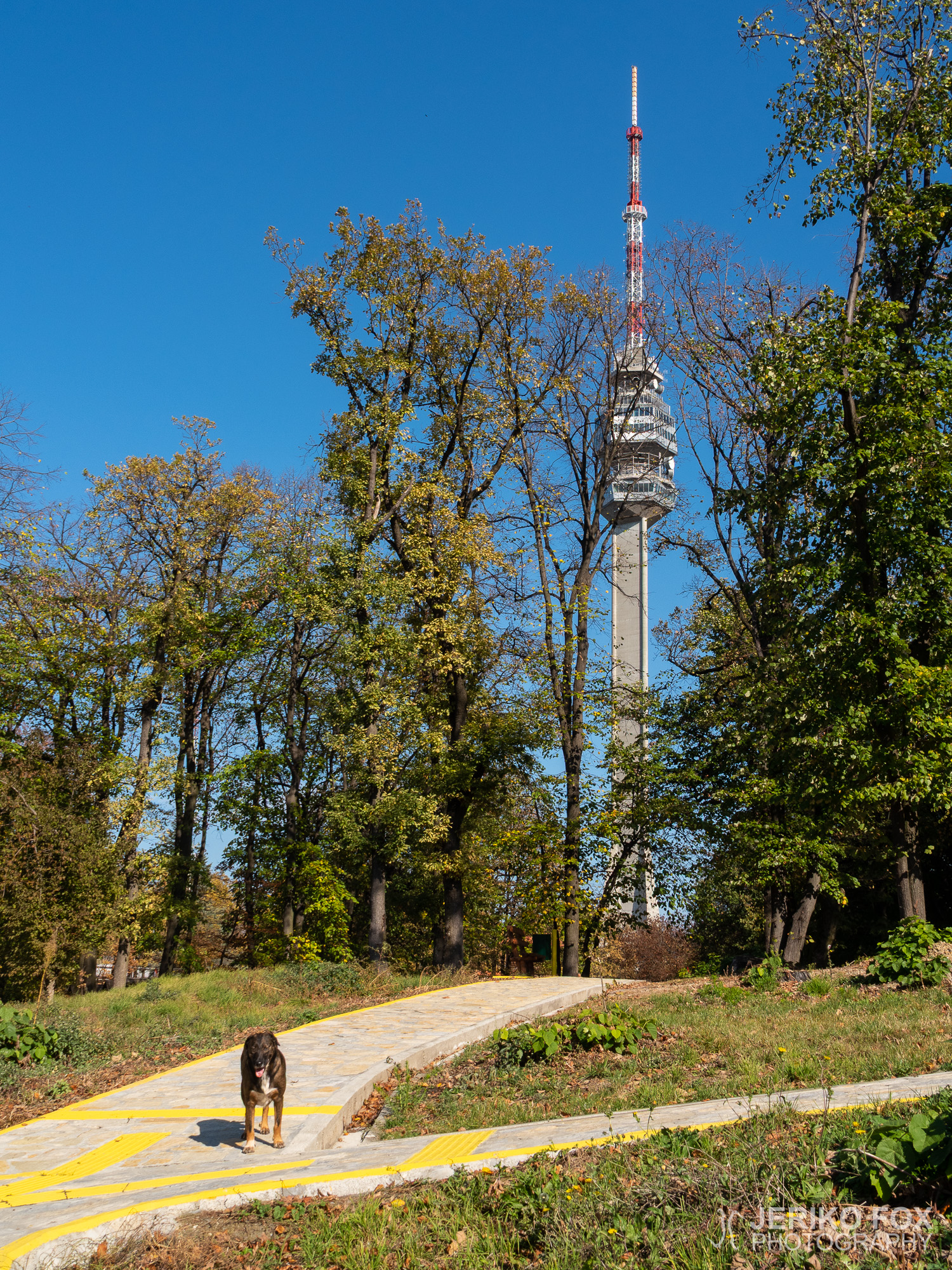 JFRM-2018-10-0673