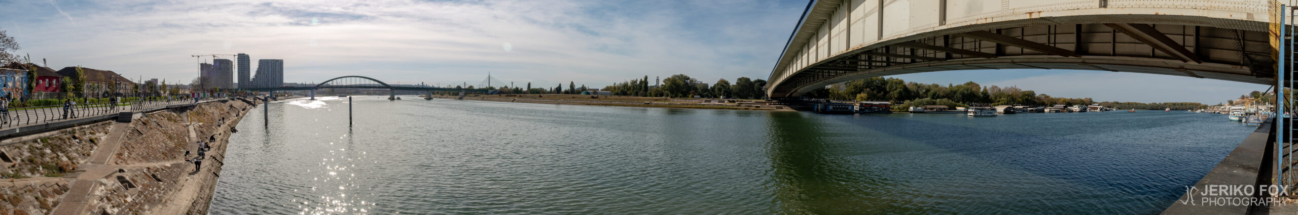 JFRM-2018-10-0825-Pano