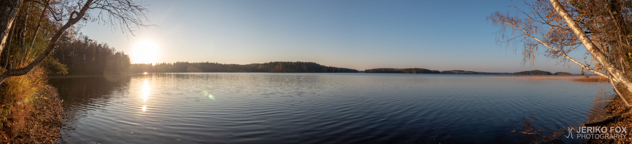 JFRM-2018-10-1650-Pano