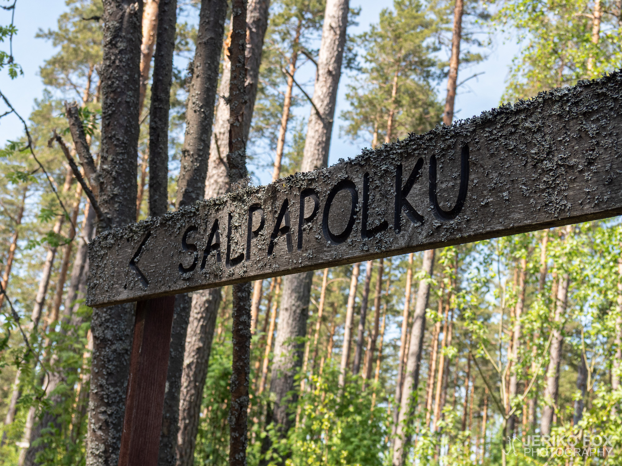 JFRM-2019-05-2190