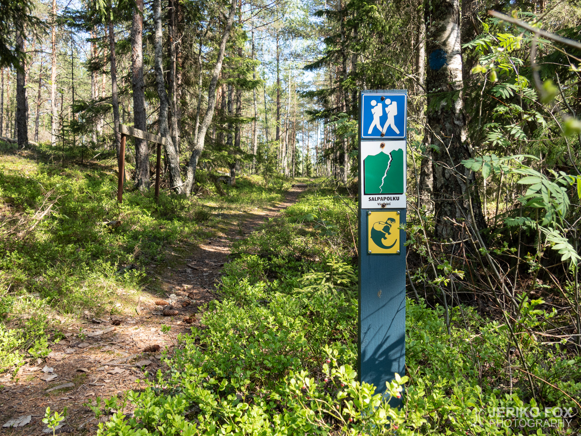JFRM-2019-05-2193