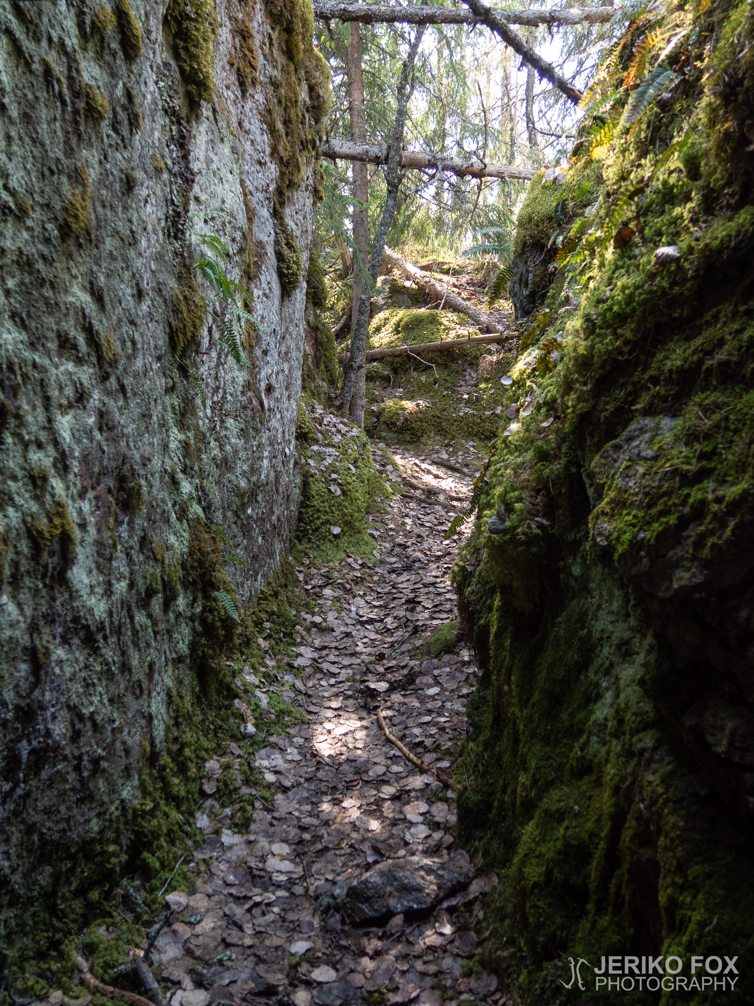 JFRM-2019-05-2194