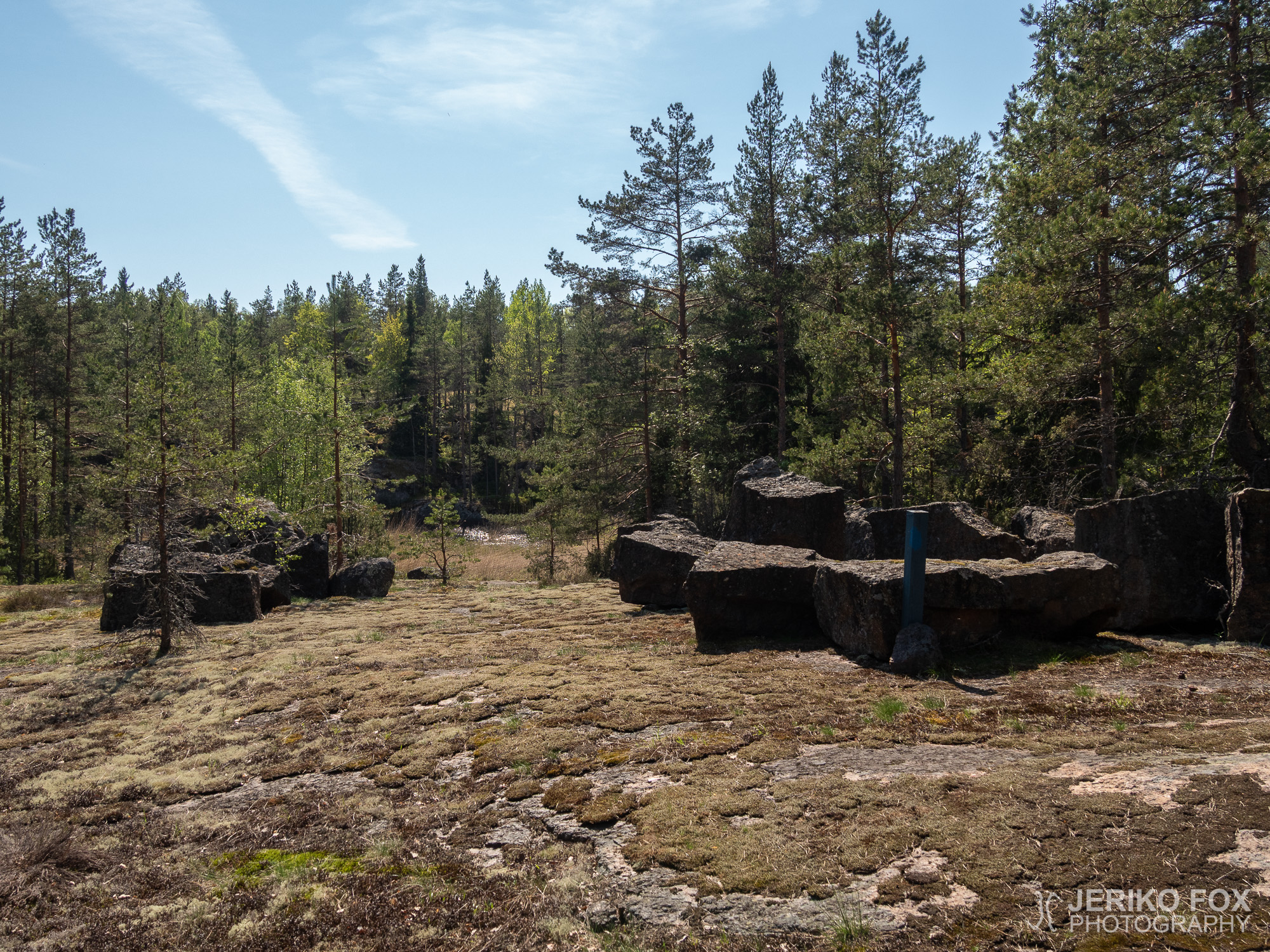 JFRM-2019-05-2210