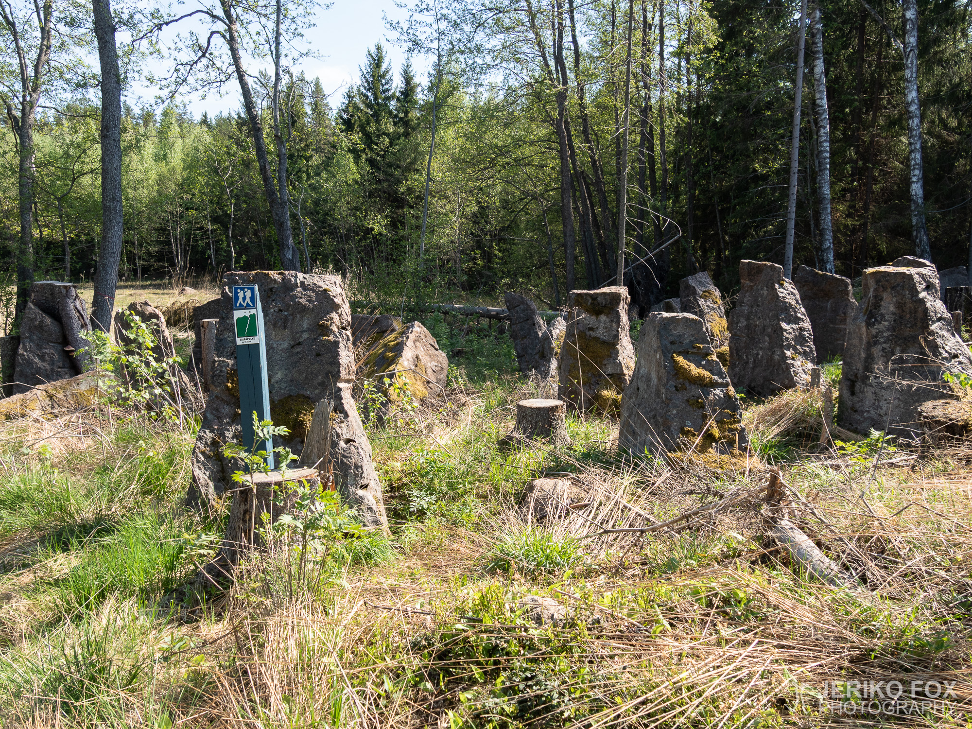 JFRM-2019-05-2211