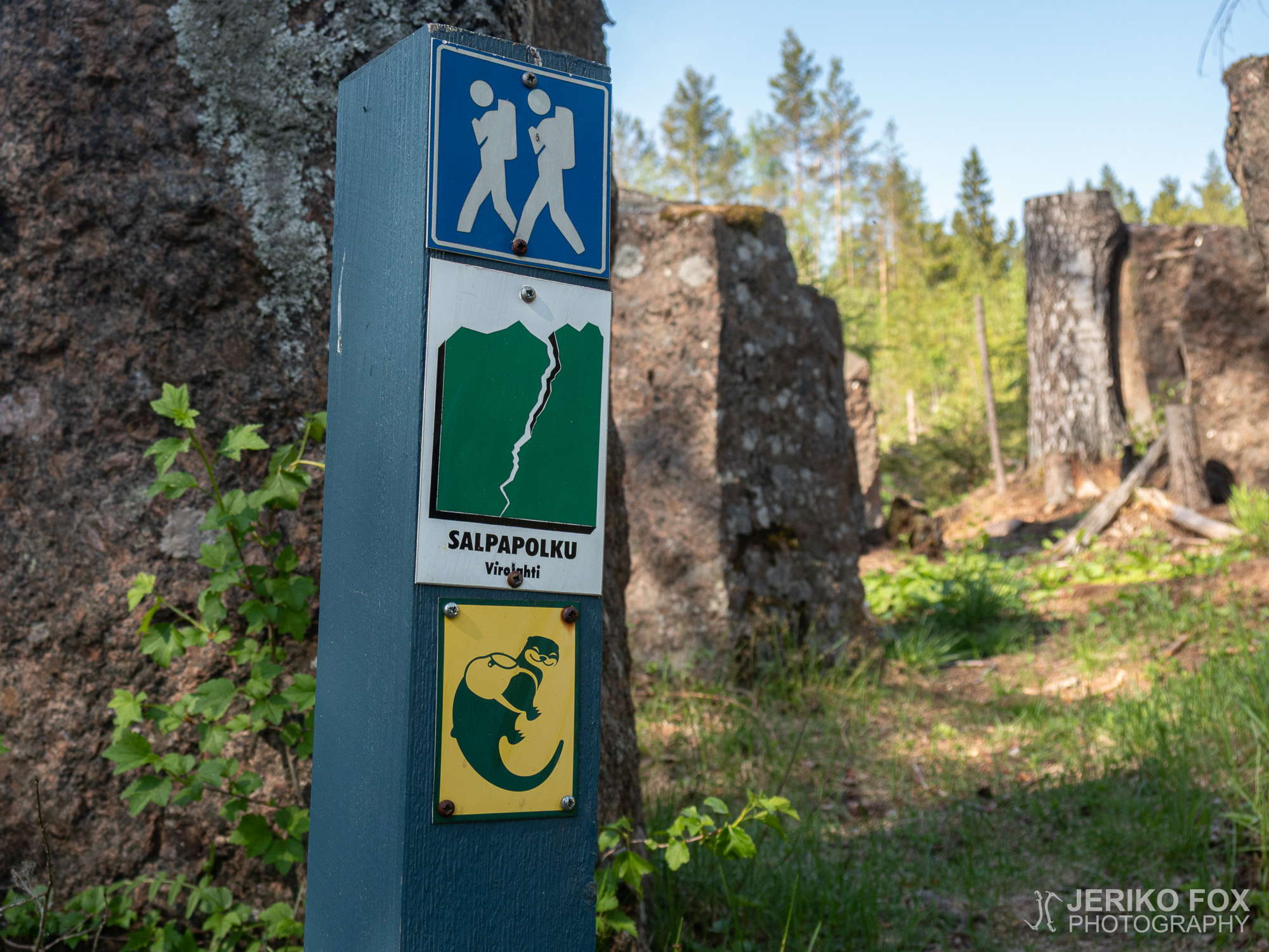 JFRM-2019-05-2215