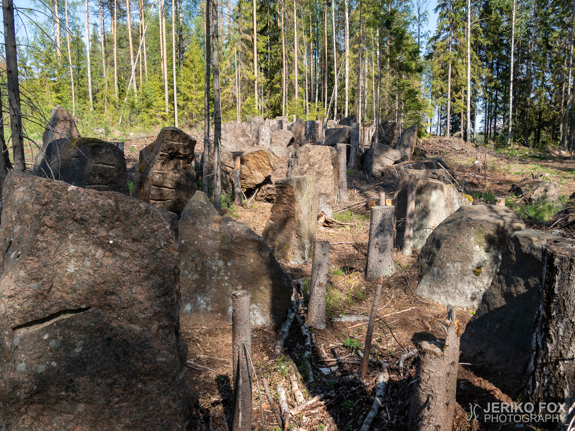 JFRM-2019-05-2216