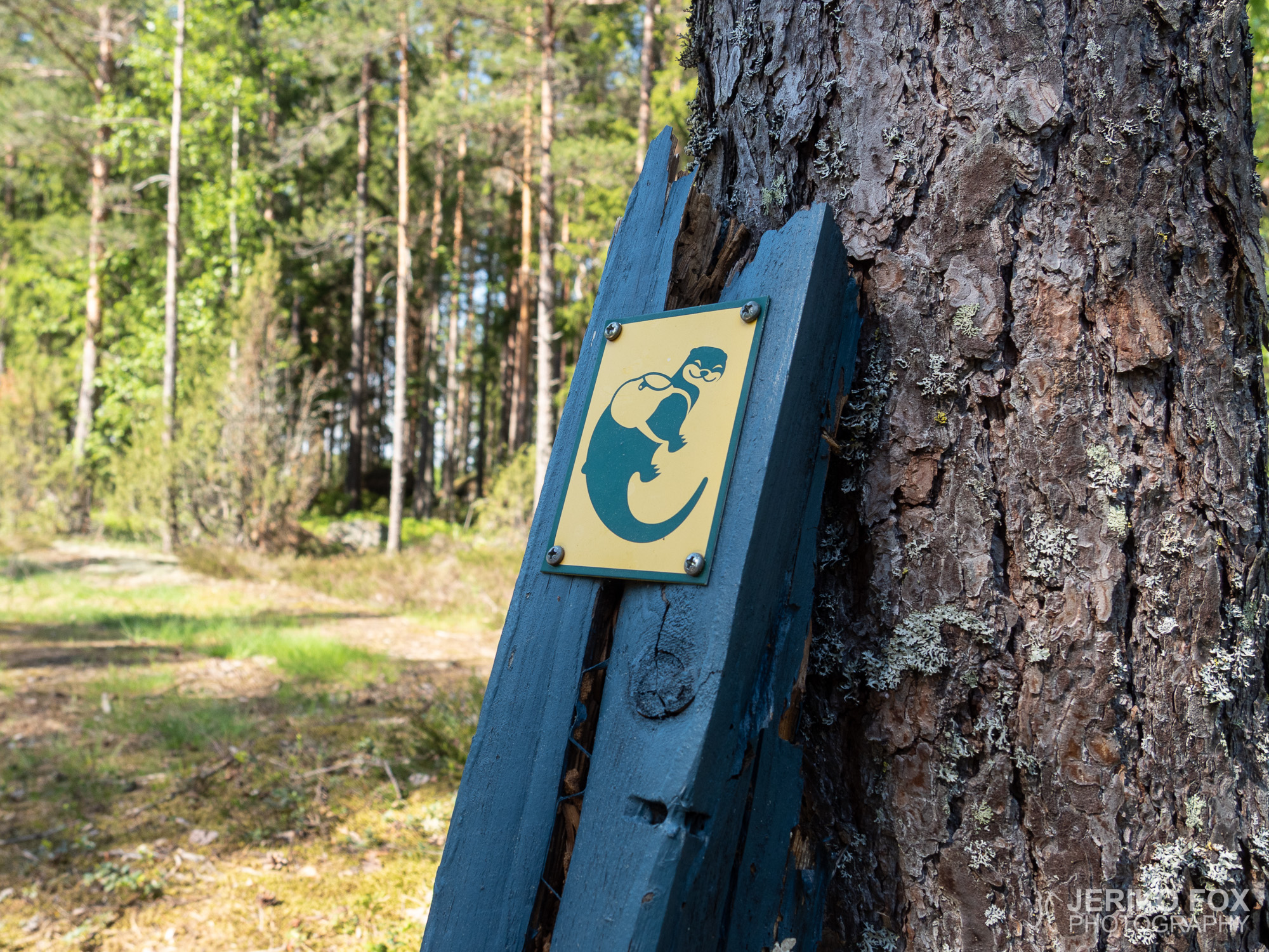 JFRM-2019-05-2218