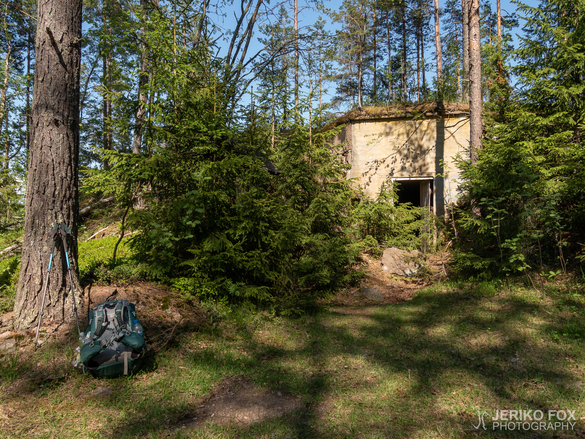 JFRM-2019-05-2220