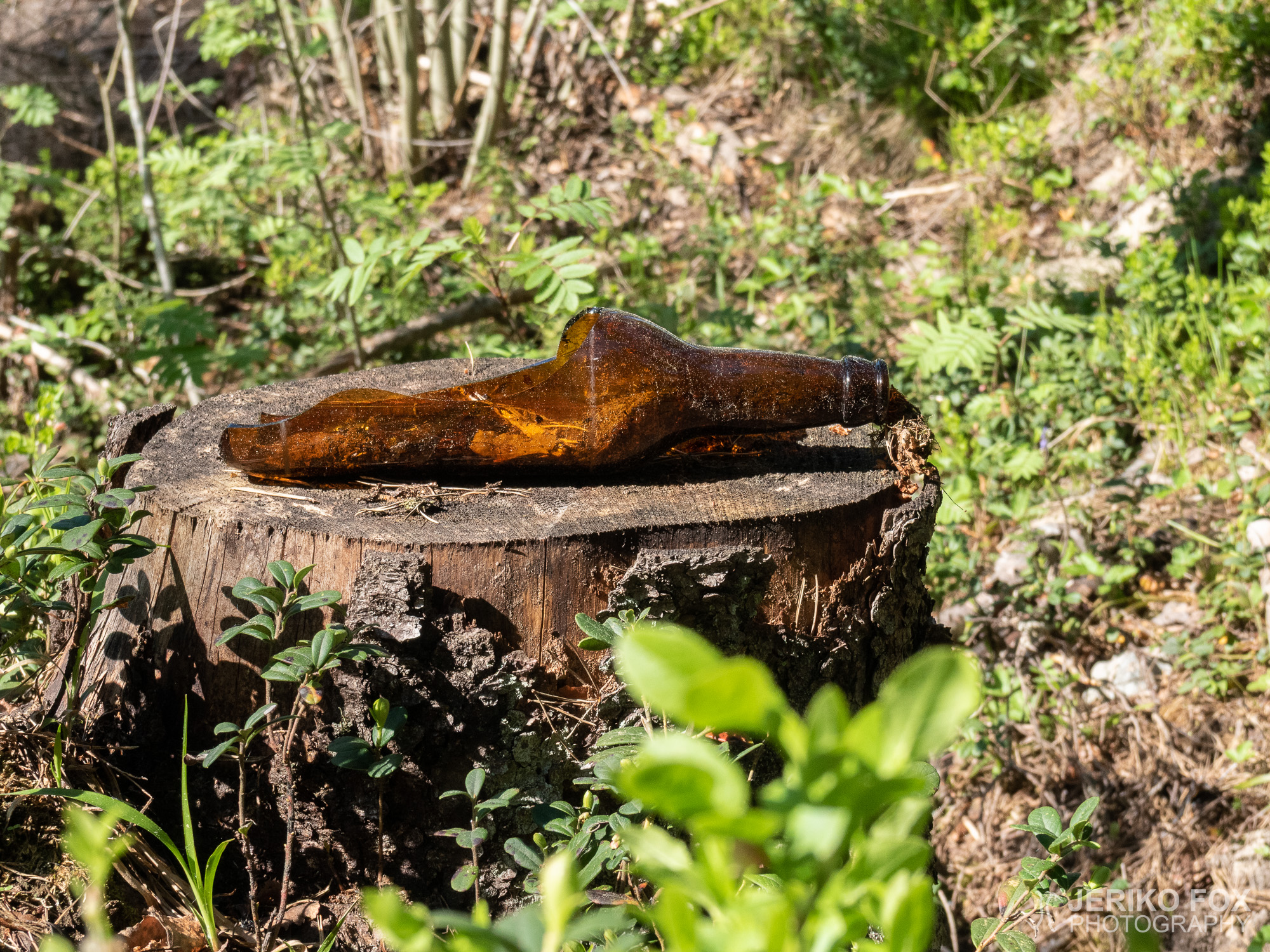 JFRM-2019-05-2228