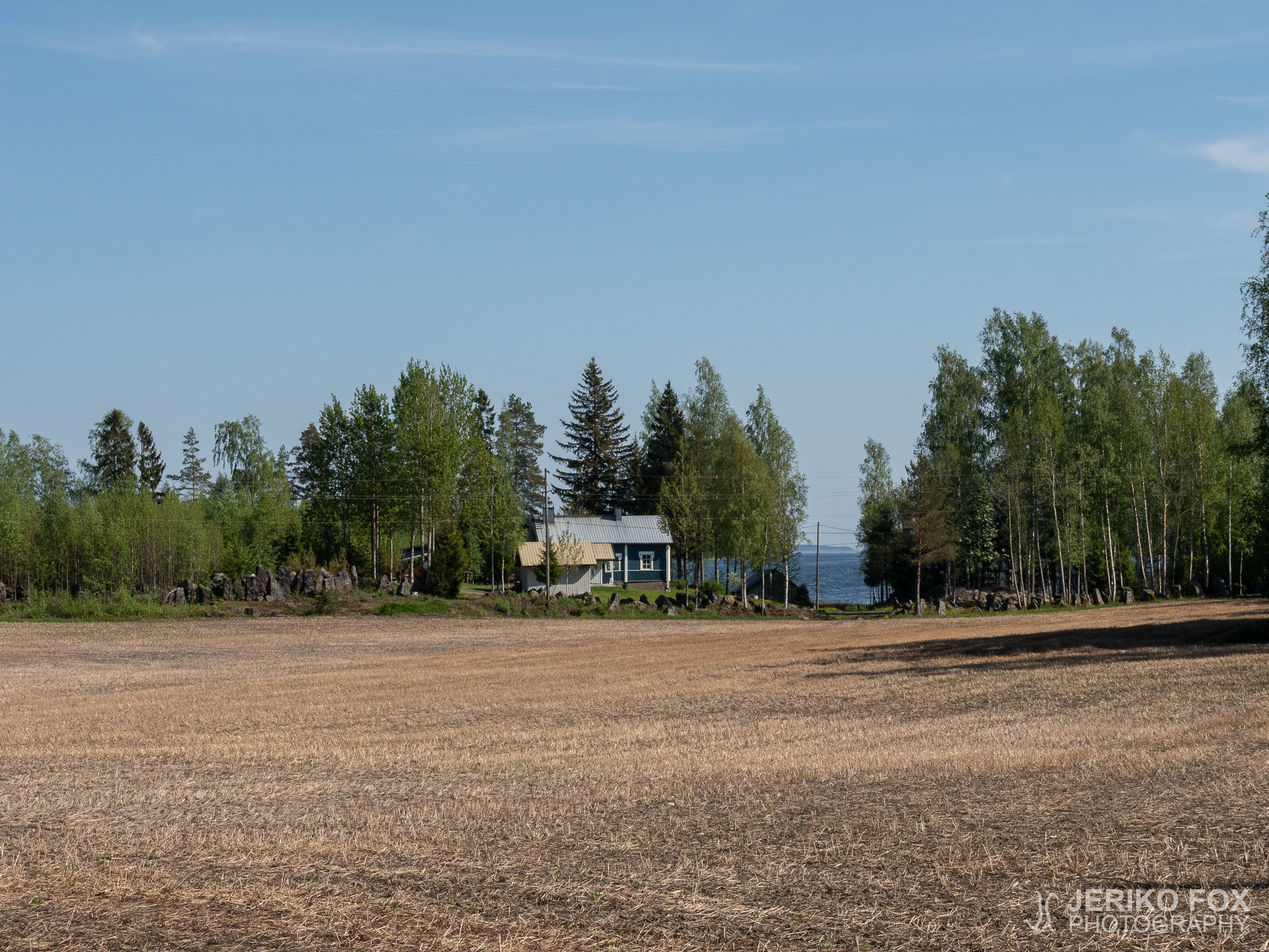 JFRM-2019-05-2230