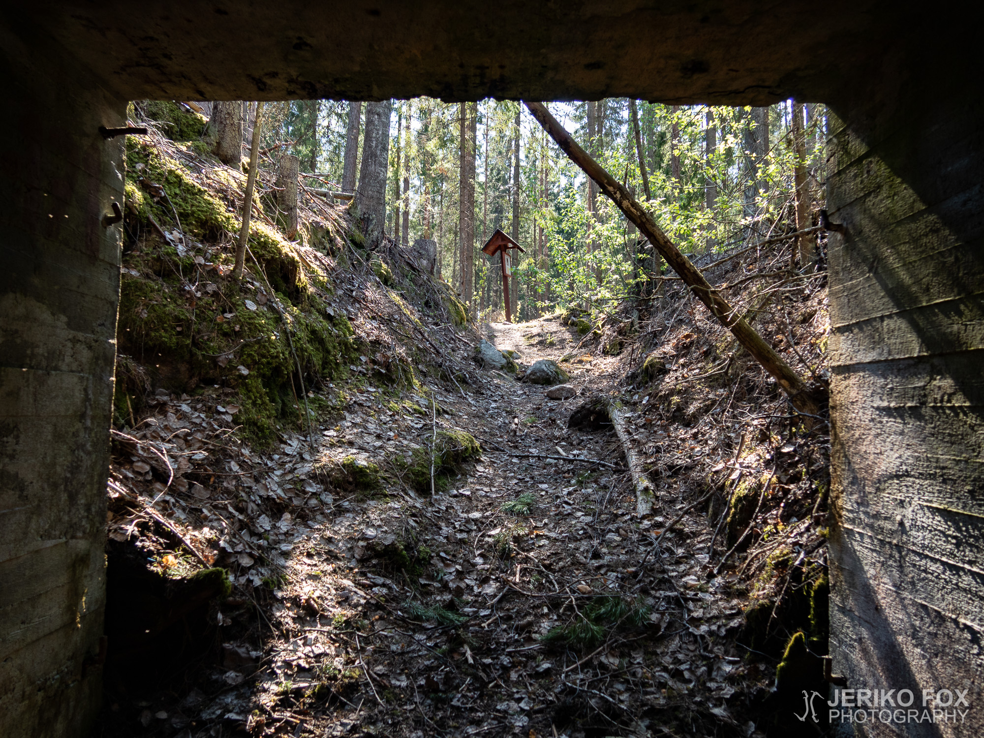 JFRM-2019-05-2232