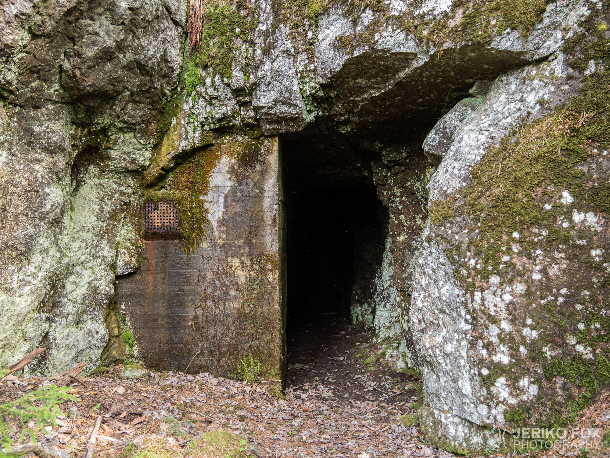 JFRM-2019-05-2244