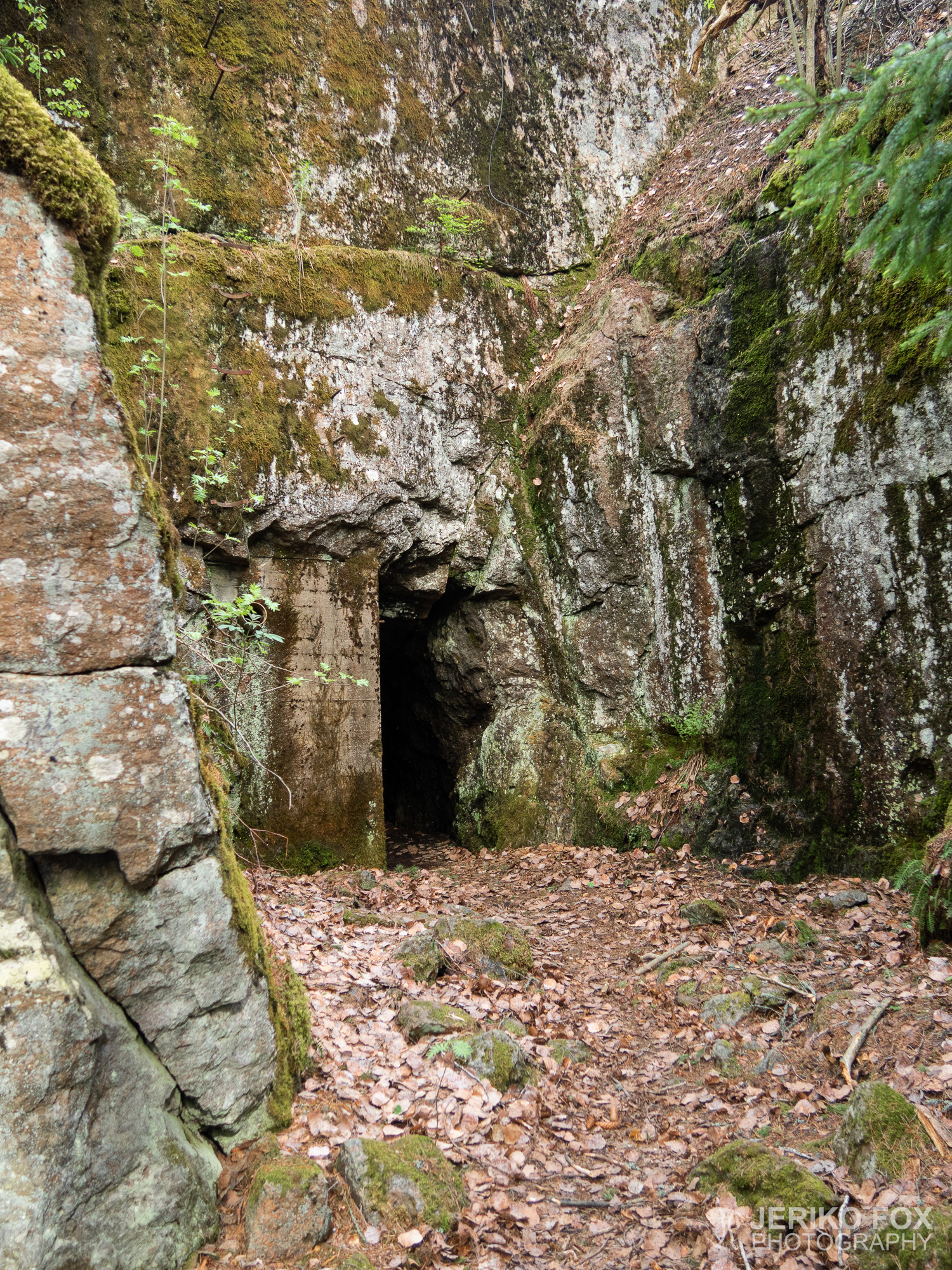 JFRM-2019-05-2253
