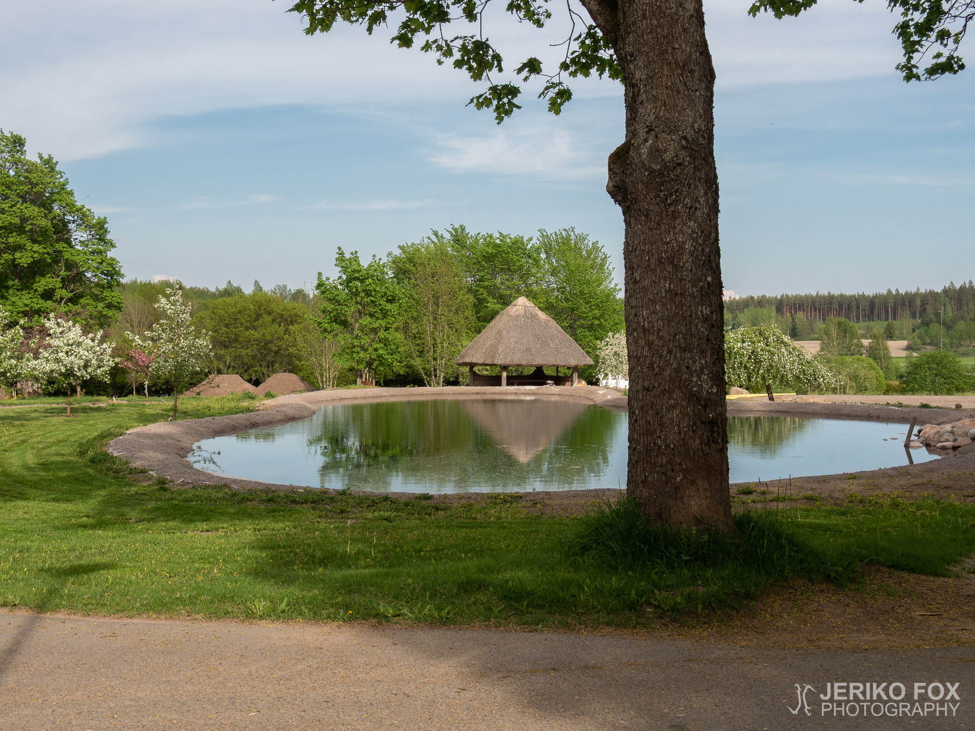 JFRM-2019-05-2255