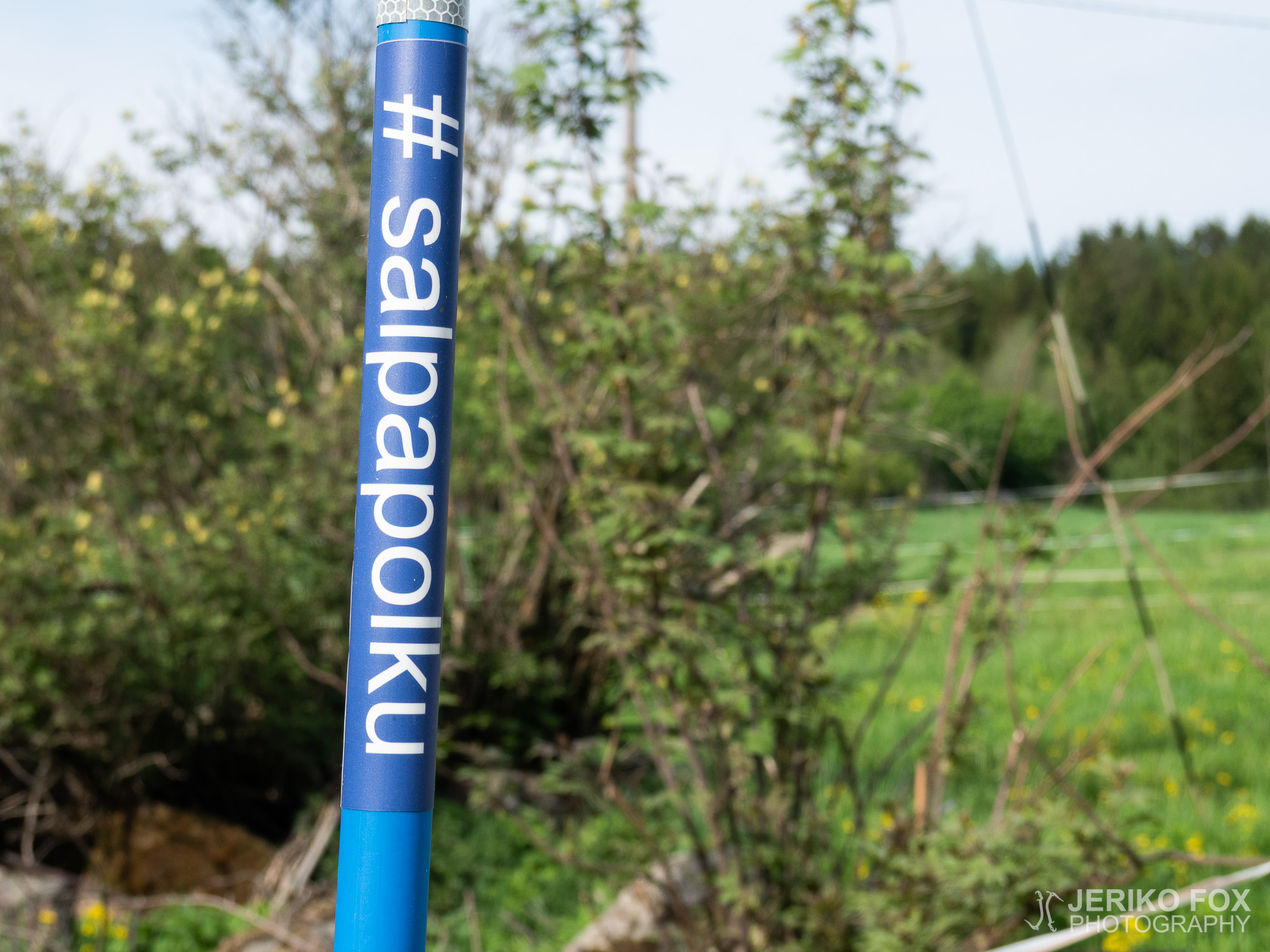 JFRM-2019-05-2256