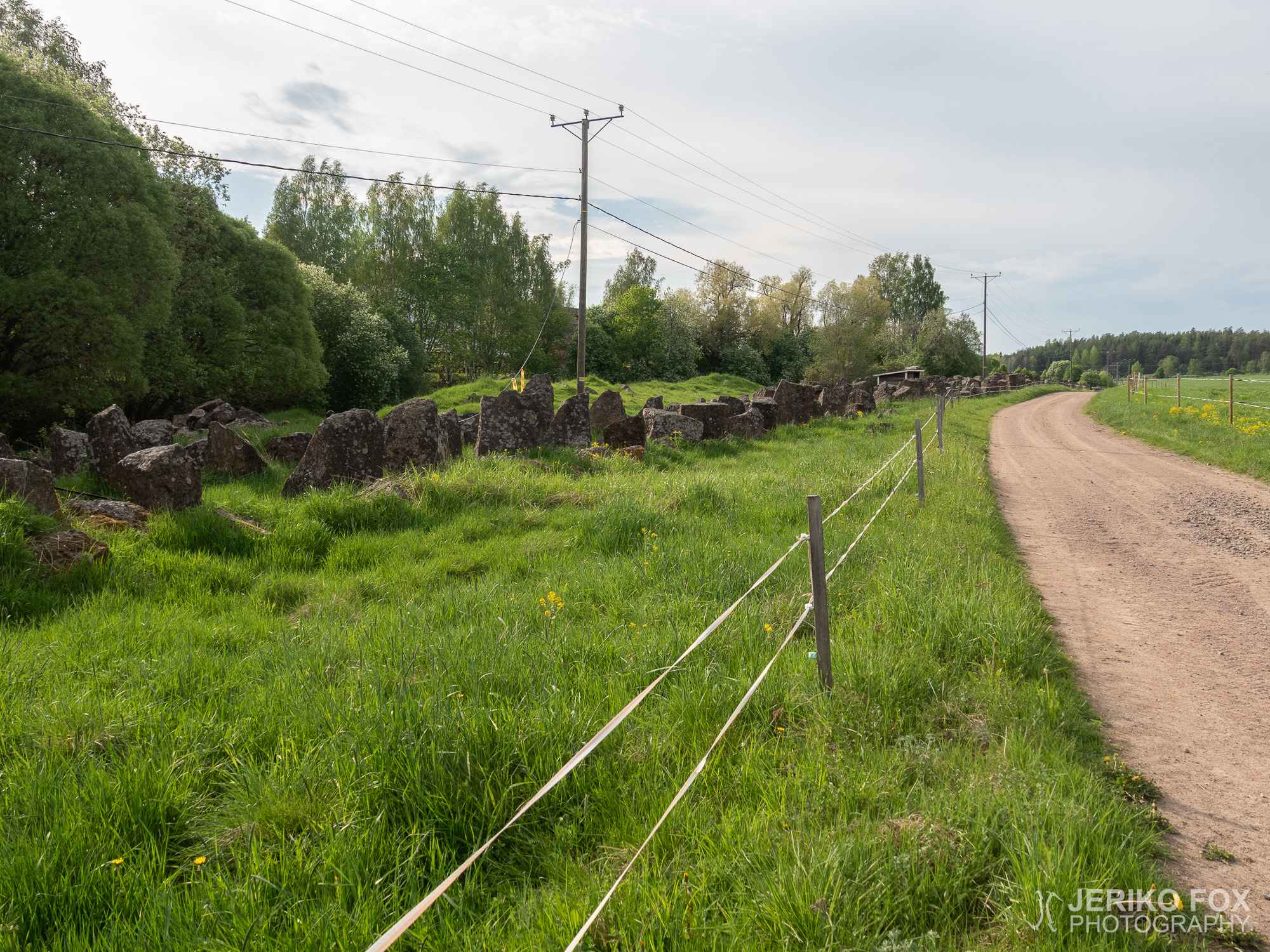 JFRM-2019-05-2258