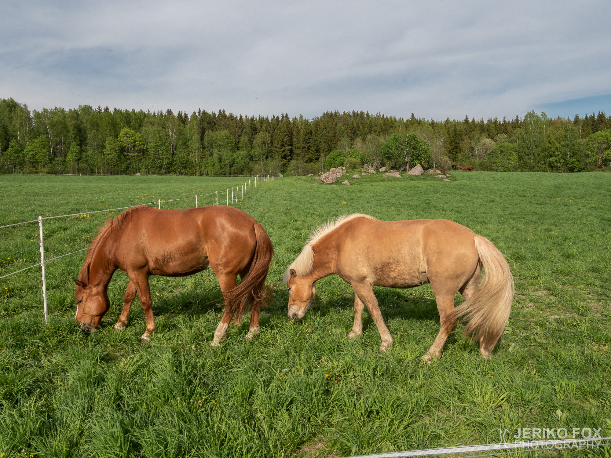 JFRM-2019-05-2260