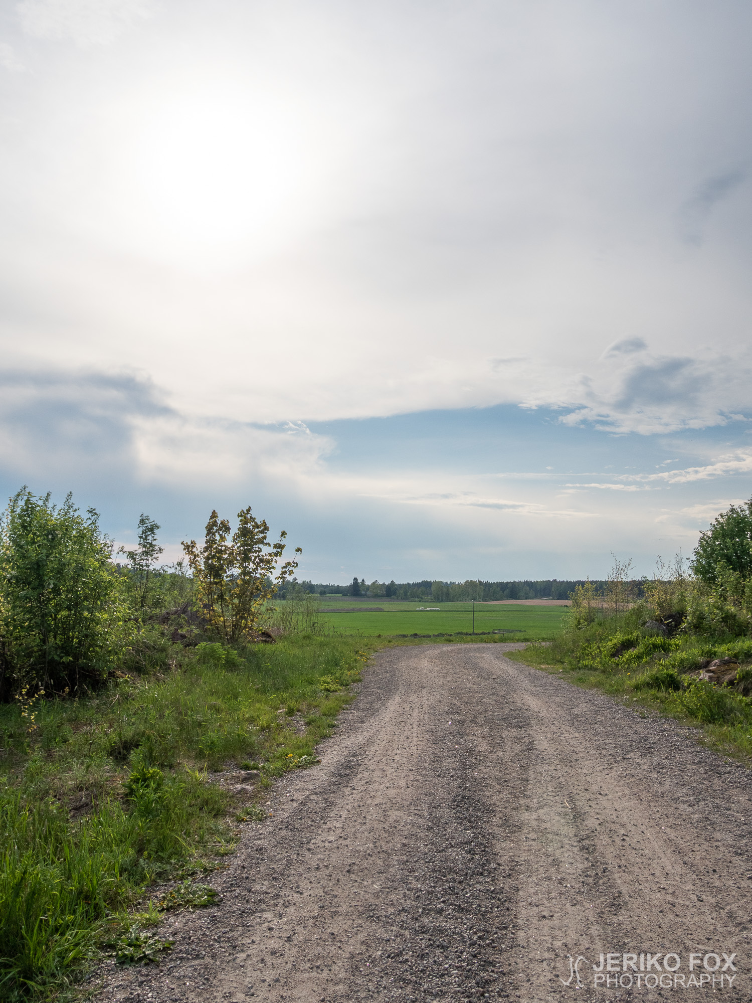 JFRM-2019-05-2263