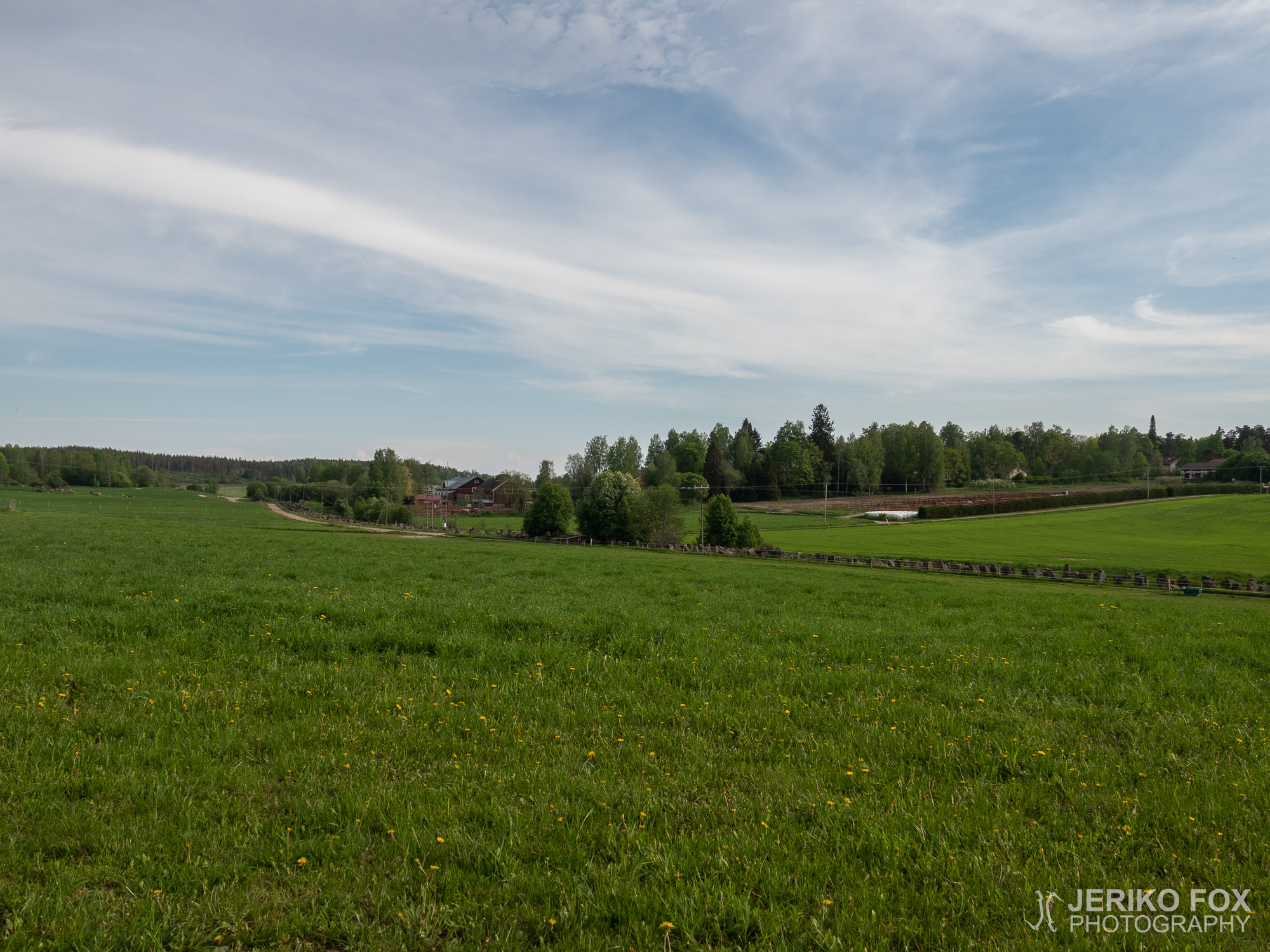 JFRM-2019-05-2264