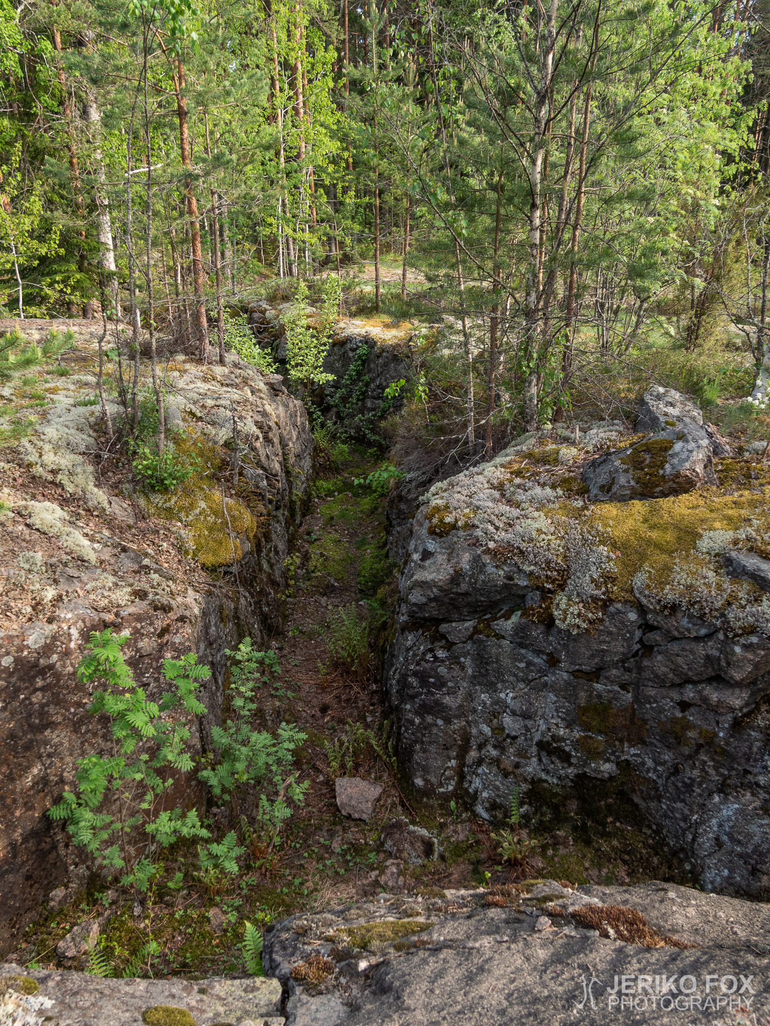 JFRM-2019-05-2268