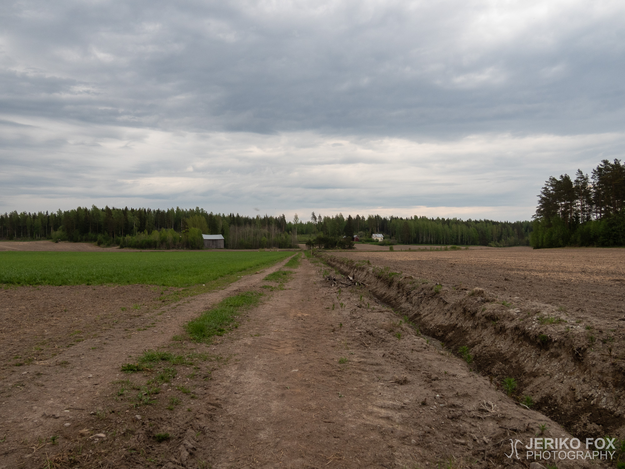 JFRM-2019-05-2289
