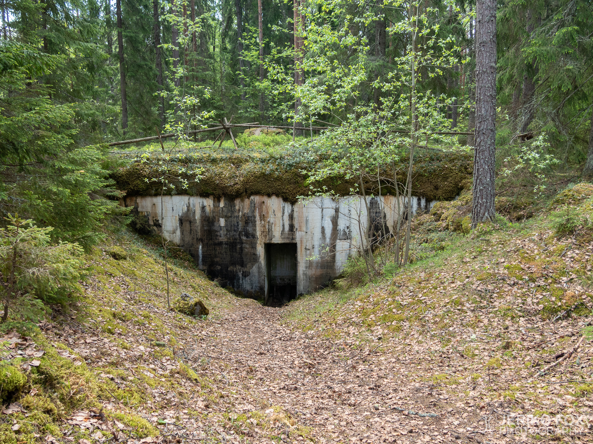 JFRM-2019-05-2308