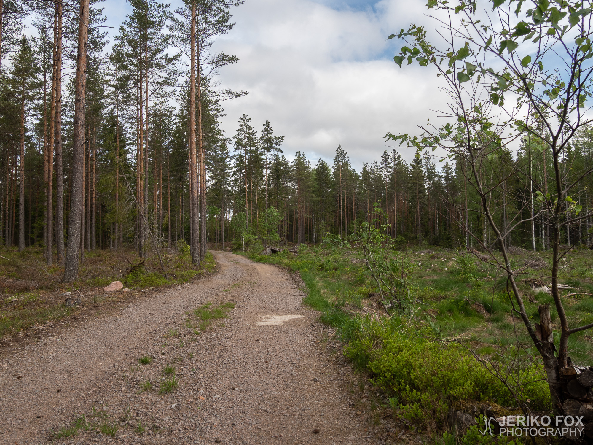JFRM-2019-05-2316