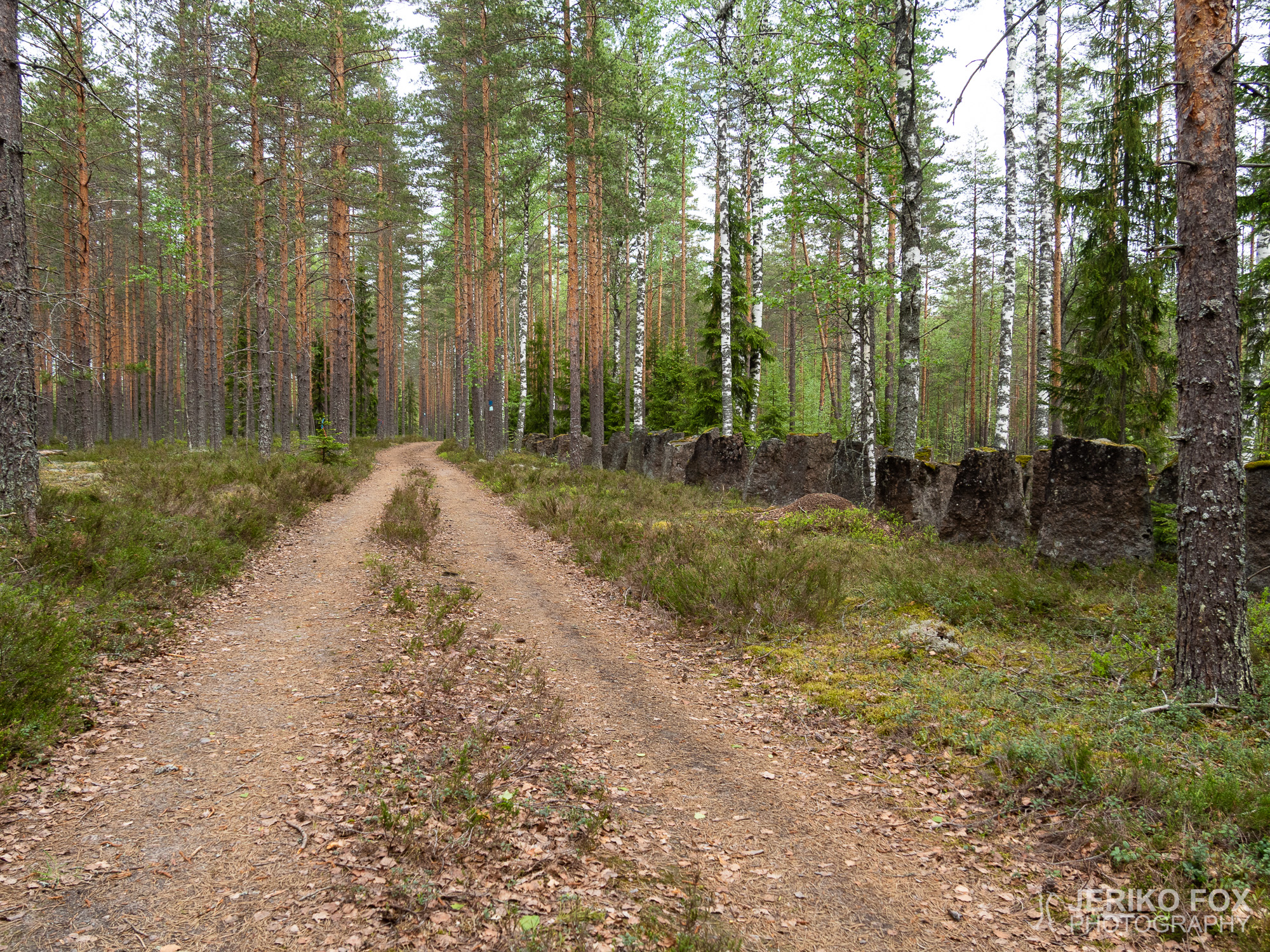 JFRM-2019-05-2334
