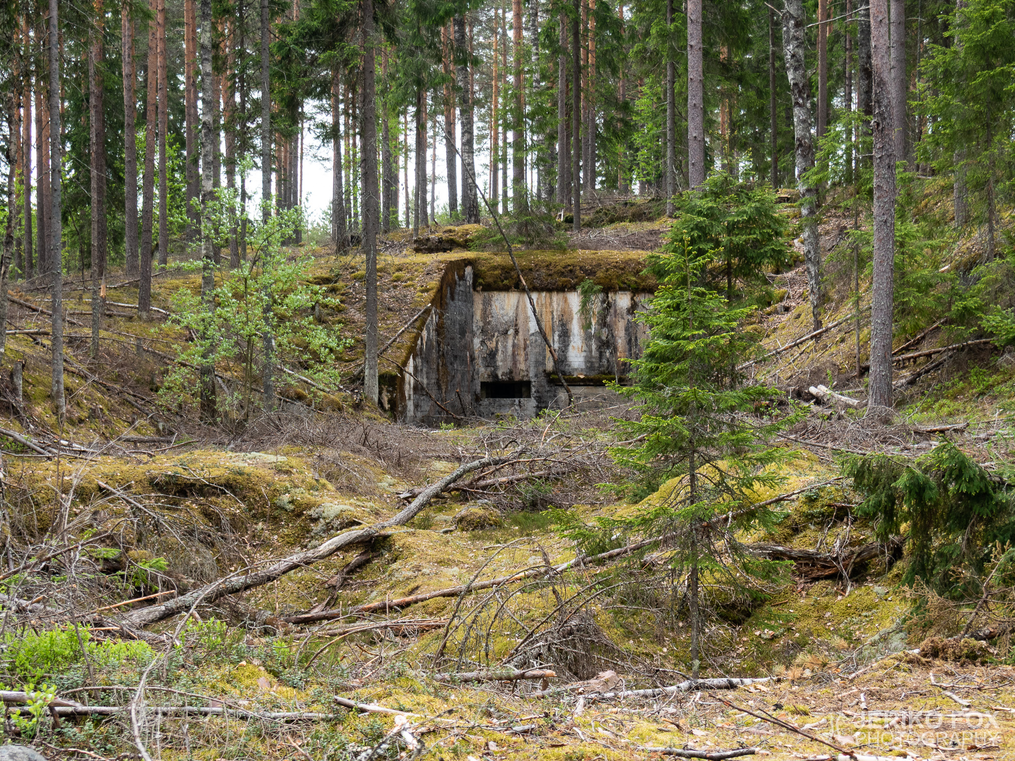 JFRM-2019-05-2335