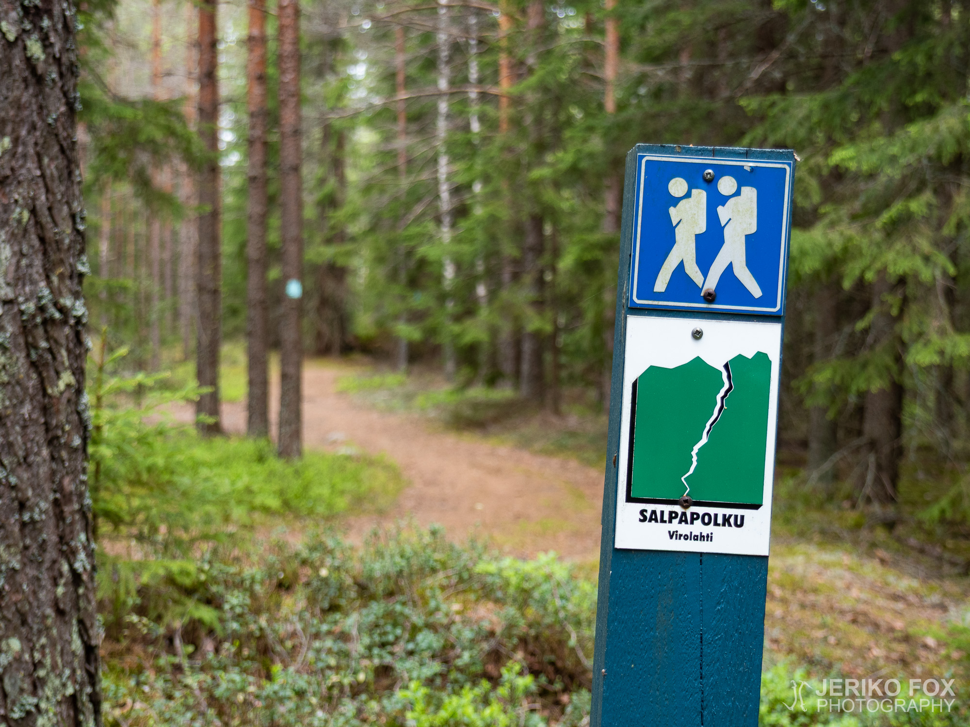 JFRM-2019-05-2336