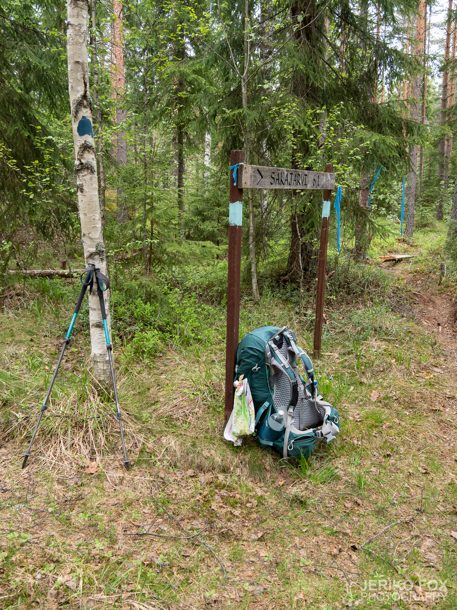 JFRM-2019-05-2338